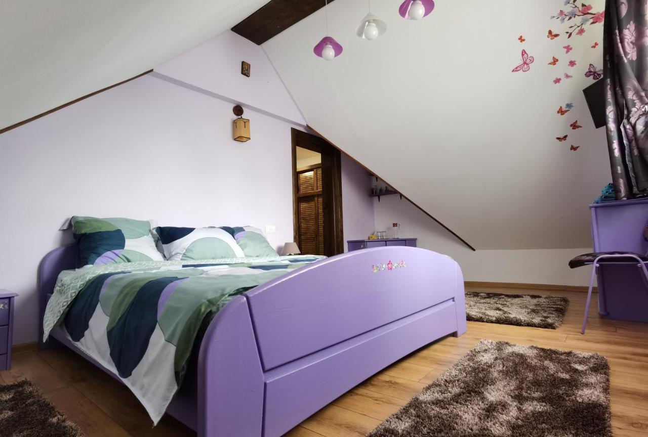 Hotel Conacul Caterinei Polovragi Zewnętrze zdjęcie