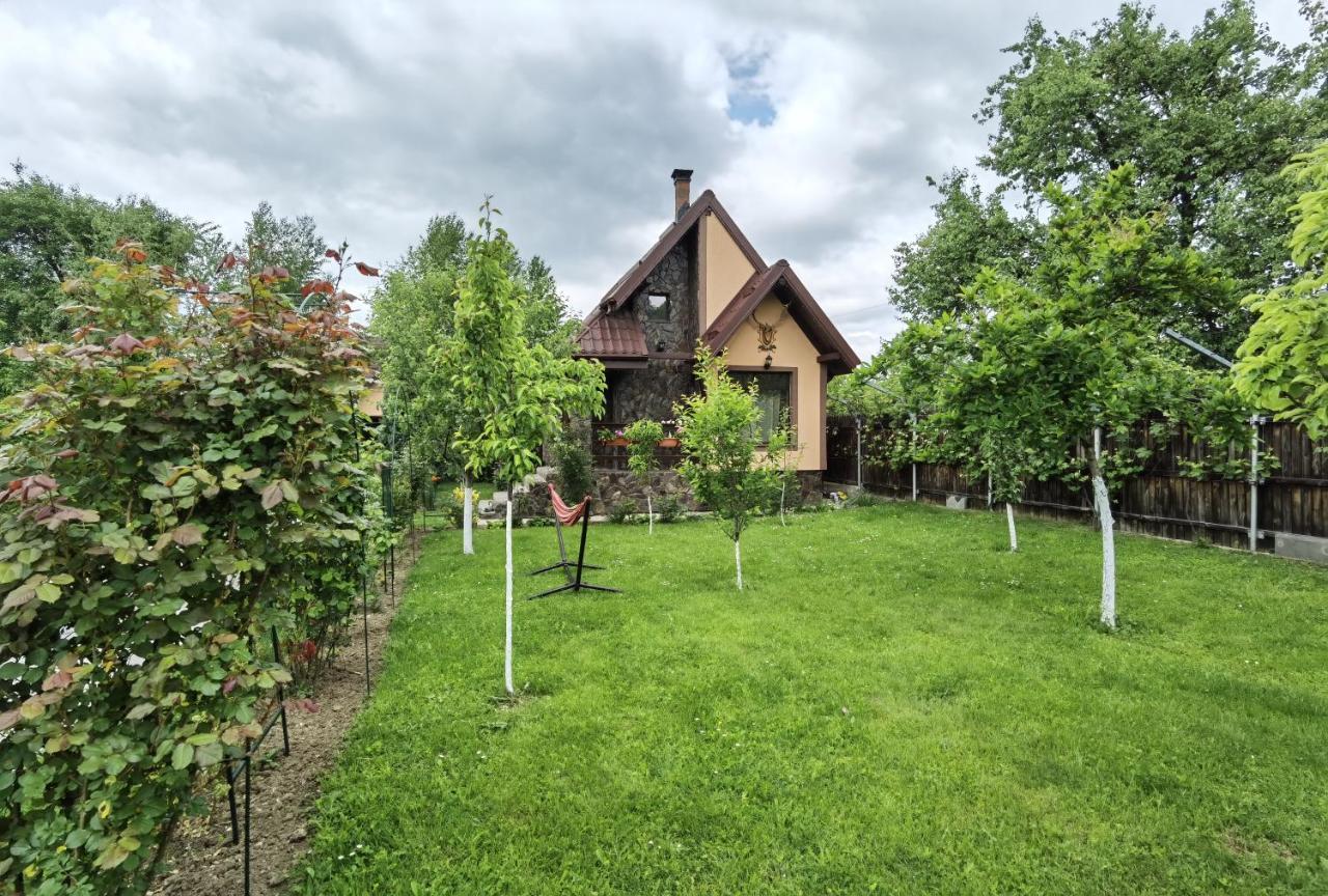 Hotel Conacul Caterinei Polovragi Zewnętrze zdjęcie
