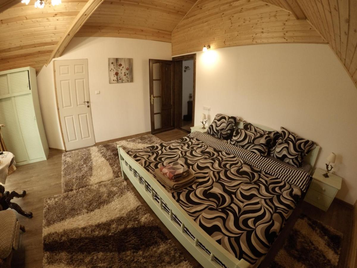 Hotel Conacul Caterinei Polovragi Zewnętrze zdjęcie