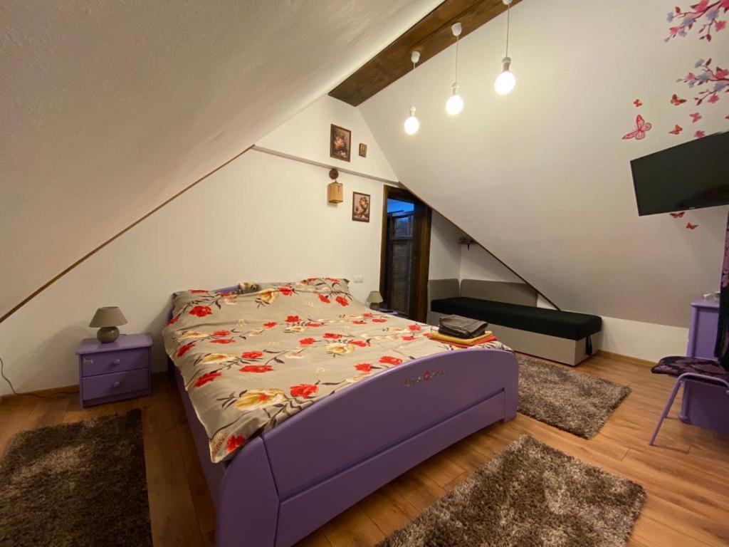 Hotel Conacul Caterinei Polovragi Zewnętrze zdjęcie