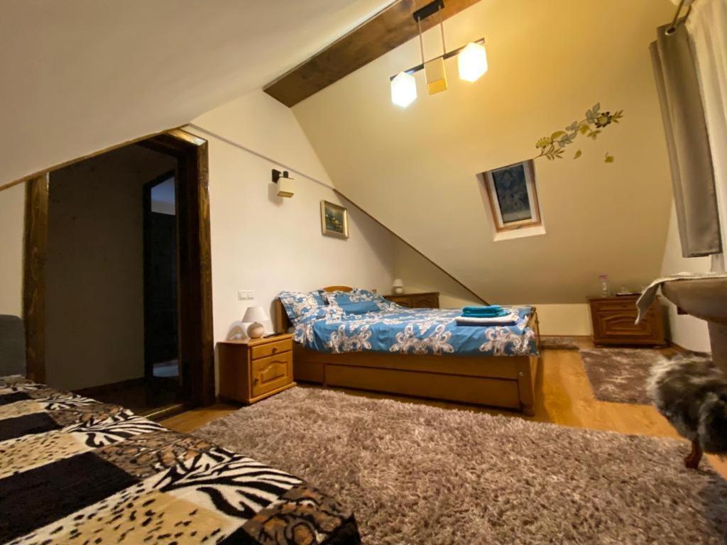 Hotel Conacul Caterinei Polovragi Zewnętrze zdjęcie